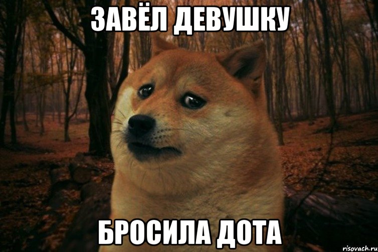 Завёл девушку Бросила дота, Мем SAD DOGE