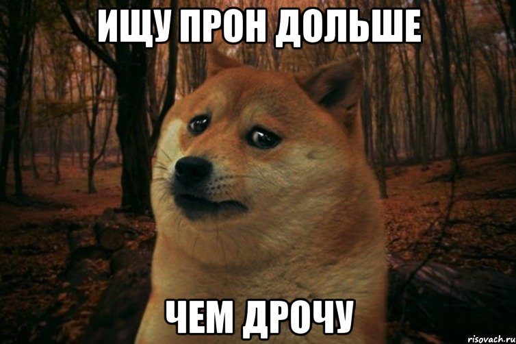 Ищу прон дольше чем дрочу, Мем SAD DOGE