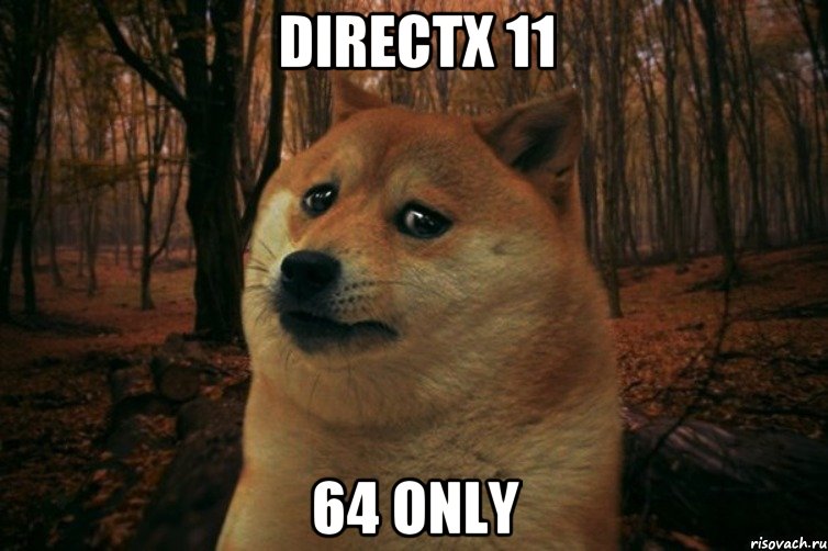 directx 11 64 only, Мем SAD DOGE