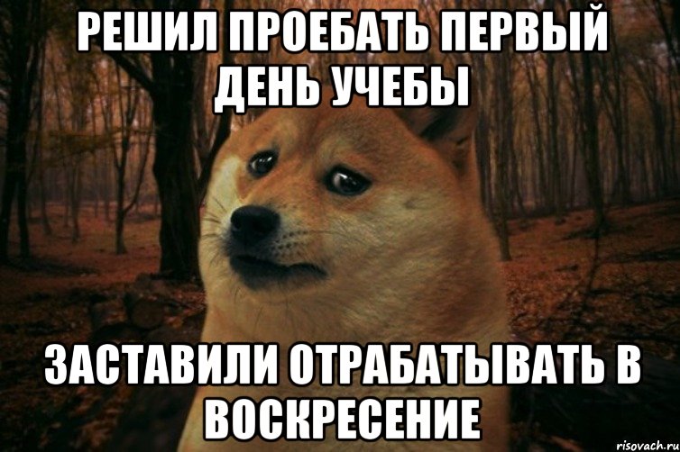 решил проебать первый день учебы заставили отрабатывать в воскресение, Мем SAD DOGE