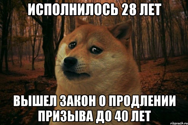 исполнилось 28 лет вышел закон о продлении призыва до 40 лет, Мем SAD DOGE