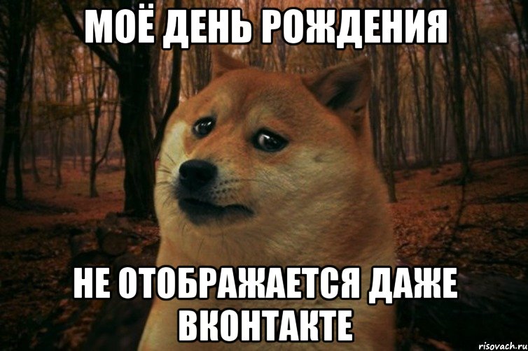 моё день рождения не отображается даже вконтакте, Мем SAD DOGE