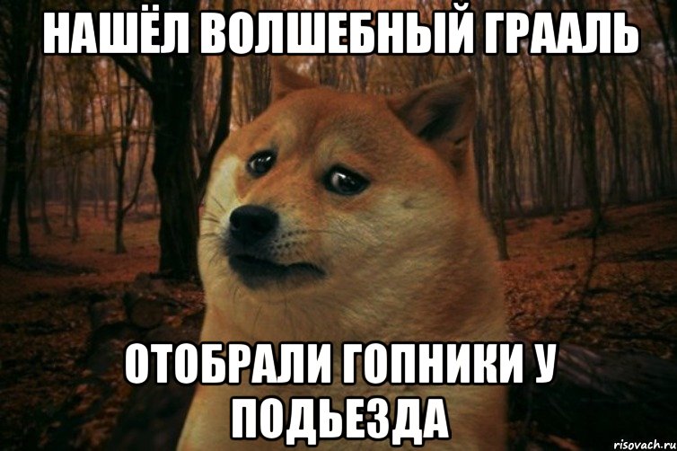 нашёл волшебный грааль отобрали гопники у подьезда, Мем SAD DOGE