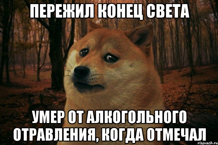 пережил конец света умер от алкогольного отравления, когда отмечал, Мем SAD DOGE