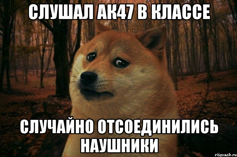 слушал ак47 в классе случайно отсоединились наушники, Мем SAD DOGE