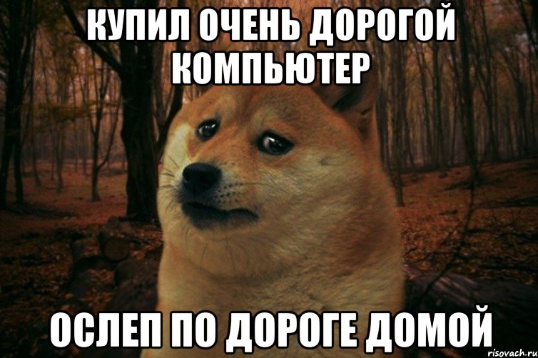 купил очень дорогой компьютер ослеп по дороге домой, Мем SAD DOGE