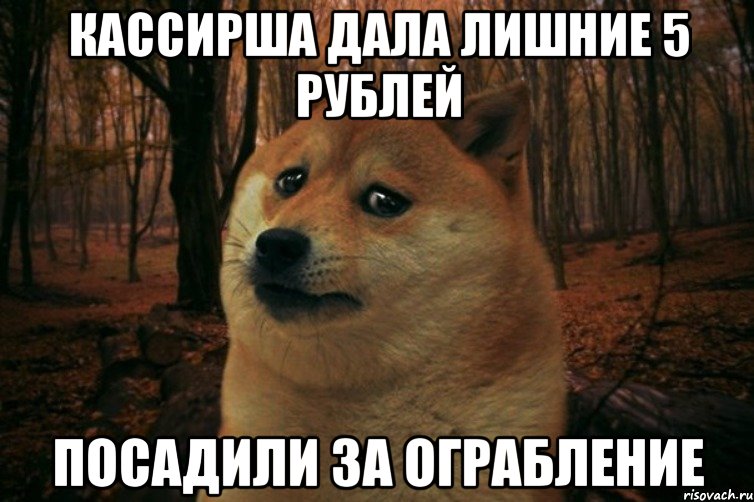 кассирша дала лишние 5 рублей посадили за ограбление, Мем SAD DOGE