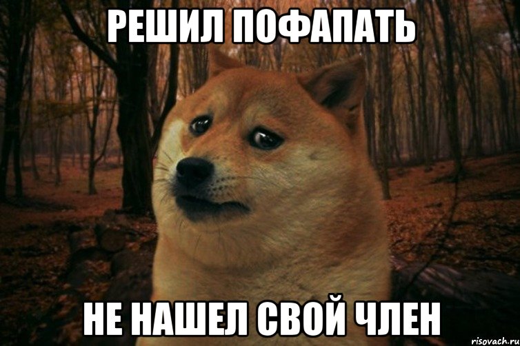 Решил пофапать Не нашел свой член, Мем SAD DOGE