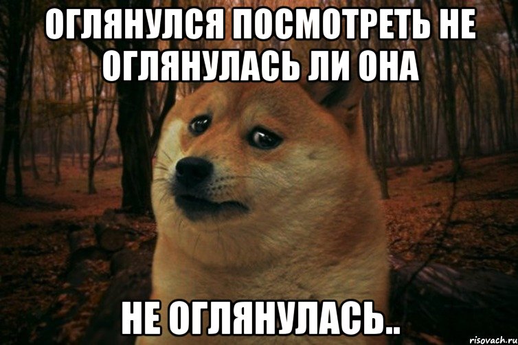 оглянулся посмотреть не оглянулась ли она не оглянулась.., Мем SAD DOGE