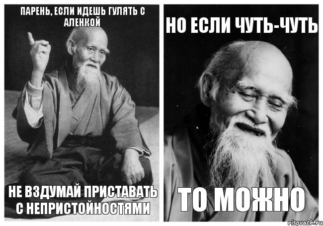 парень, если идешь гулять с аленкой не вздумай приставать с непристойностями но если чуть-чуть то можно, Комикс Мудрец-монах (4 зоны)