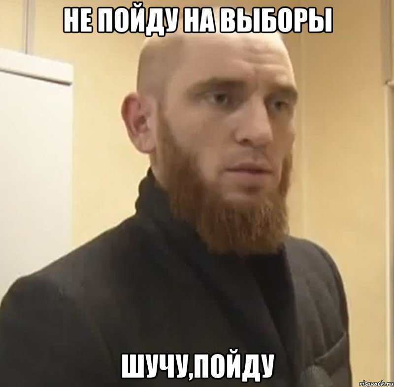 НЕ ПОЙДУ НА ВЫБОРЫ ШУЧУ,ПОЙДУ, Мем Шучу