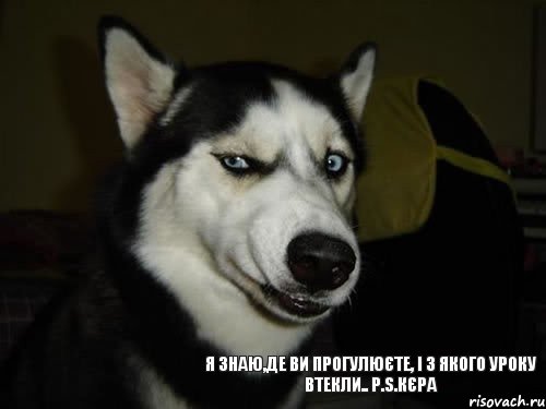 Я знаю,де ви прогулюєте, і з якого уроку втекли.. P.S.Кєра, Комикс  Собака подозревака