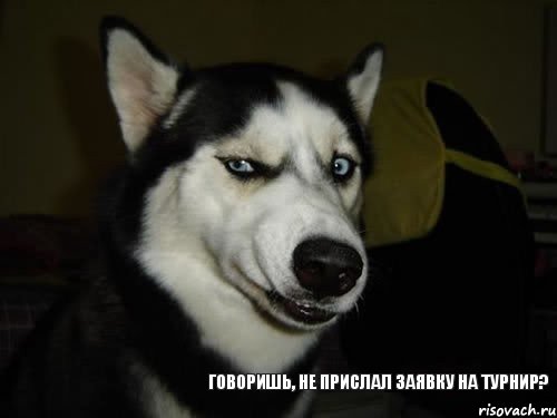 ГОВОРИШЬ, НЕ ПРИСЛАЛ ЗАЯВКУ НА ТУРНИР?, Комикс  Собака подозревака