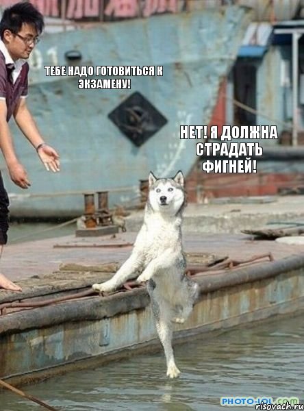 Тебе надо готовиться к экзамену! НЕТ! Я ДОЛЖНА СТРАДАТЬ ФИГНЕЙ!