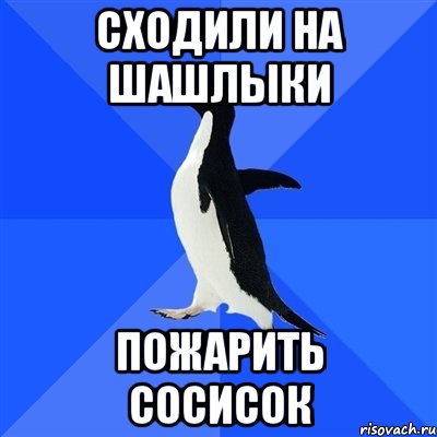 сходили на шашлыки пожарить сосисок, Мем  Социально-неуклюжий пингвин