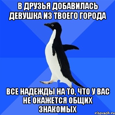 в друзья добавилась девушка из твоего города все надежды на то, что у вас не окажется общих знакомых, Мем  Социально-неуклюжий пингвин