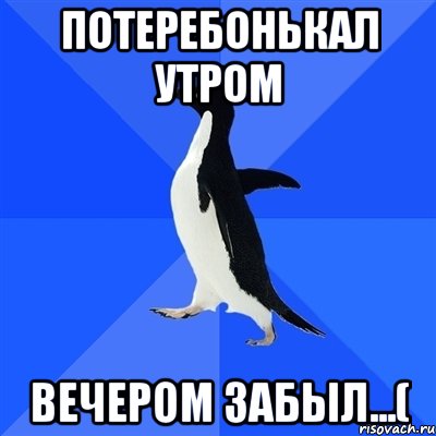 Потеребонькал утром Вечером забыл...(, Мем  Социально-неуклюжий пингвин