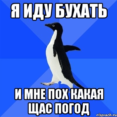 я иду бухать и мне пох какая щас погод, Мем  Социально-неуклюжий пингвин