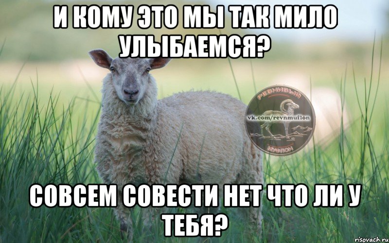 И кому это мы так мило улыбаемся? совсем совести нет что ли у тебя?, Мем  Создать мем Ревнивая Овечка 1