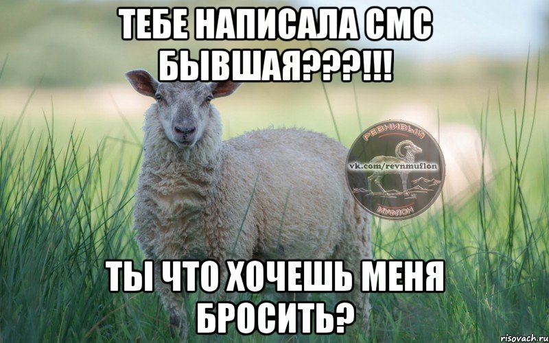 тебе написала смс бывшая???!!! ты что хочешь меня бросить?