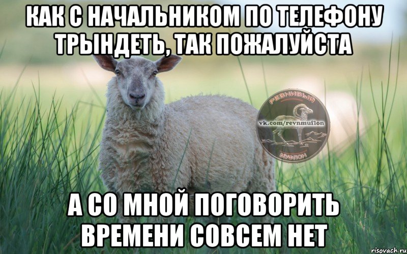 как с начальником по телефону трындеть, так пожалуйста а со мной поговорить времени совсем нет, Мем  Создать мем Ревнивая Овечка 1