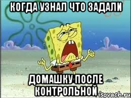 Когда узнал что задали домашку после контрольной, Мем Спанч Боб плачет