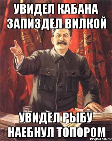 Увидел кабана запиздел вилкой Увидел рыбу наебнул топором, Мем  сталин цветной