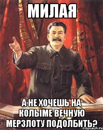 Милая а не хочешь на Колыме вечную мерзлоту подолбить?, Мем  сталин цветной