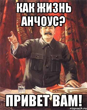 Как жизнь Анчоус? Привет вам!, Мем  сталин цветной