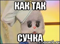 как так сучка