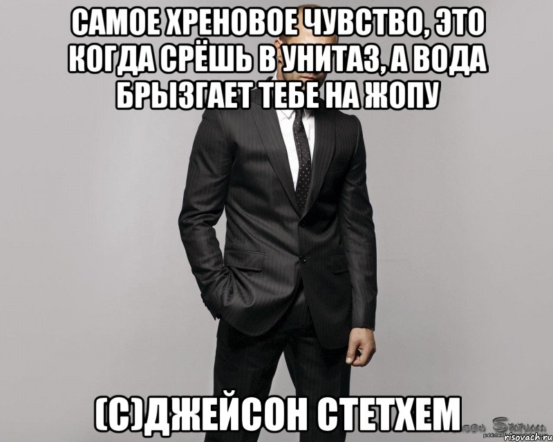 Самое хреновое чувство, это когда срёшь в унитаз, а вода брызгает тебе на жопу (с)Джейсон Стетхем, Мем  стетхем