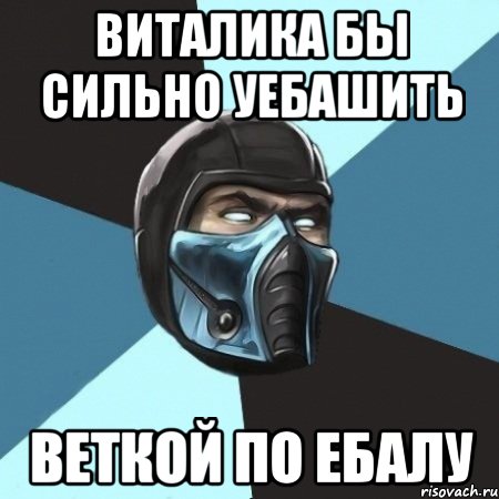 Виталика бы сильно уебашить веткой по ебалу, Мем Саб-Зиро