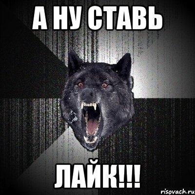 а ну ставь ЛАЙК!!!, Мем Сумасшедший волк