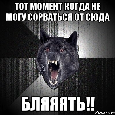 тот момент когда не могу сорваться от сюда Бляяять!!, Мем Сумасшедший волк