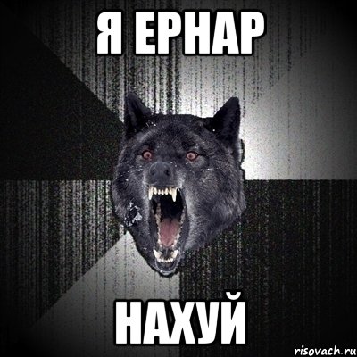 Я Ернар НАХУЙ, Мем Сумасшедший волк