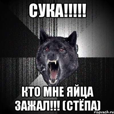 Сука!!!!! кто мне яйца зажал!!! (Стёпа), Мем Сумасшедший волк