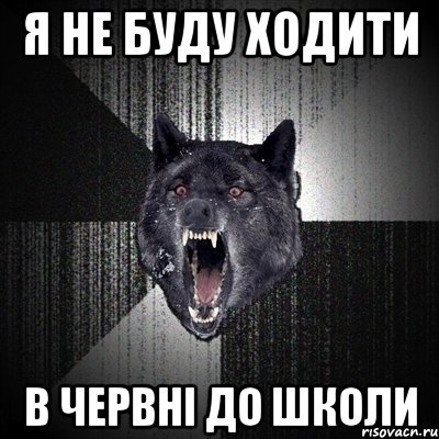 Я не буду ходити в червні до школи, Мем Сумасшедший волк