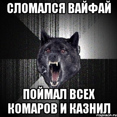 сломался вайфай поймал всех комаров и казнил, Мем Сумасшедший волк