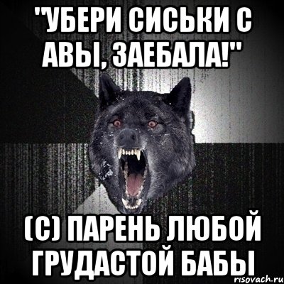 "Убери сиськи с авы, заебала!" (с) парень любой грудастой бабы, Мем Сумасшедший волк