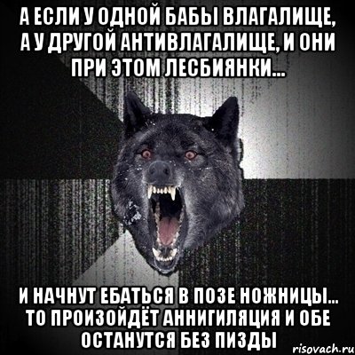 А если у одной бабы влагалище, а у другой антивлагалище, и они при этом лесбиянки... и начнут ебаться в позе ножницы... то произойдёт аннигиляция и обе останутся без пизды, Мем Сумасшедший волк