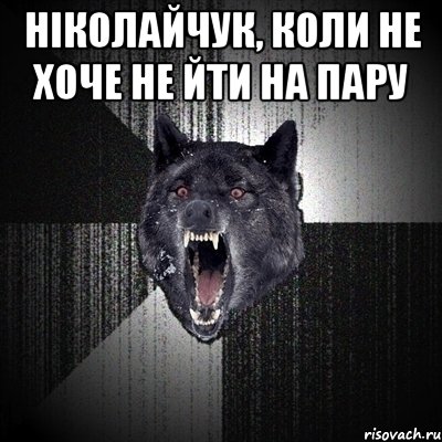 Ніколайчук, коли не хоче не йти на пару , Мем Сумасшедший волк