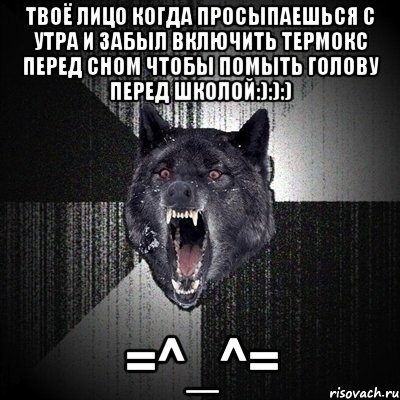 ТВОЁ лицо когда просыпаешься с утра и забыл включить термокс перед сном чтобы помыть голову перед школой:):):) =^_^=, Мем Сумасшедший волк