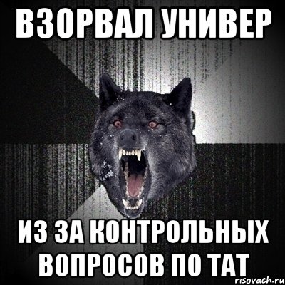 ВЗОРВАЛ УНИВЕР ИЗ ЗА КОНТРОЛЬНЫХ ВОПРОСОВ ПО ТАТ, Мем Сумасшедший волк