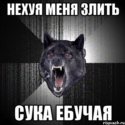 нехуя меня злить сука ебучая, Мем Сумасшедший волк