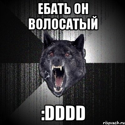 ЕБАТЬ ОН ВОЛОСАТЫЙ :DDDD, Мем Сумасшедший волк