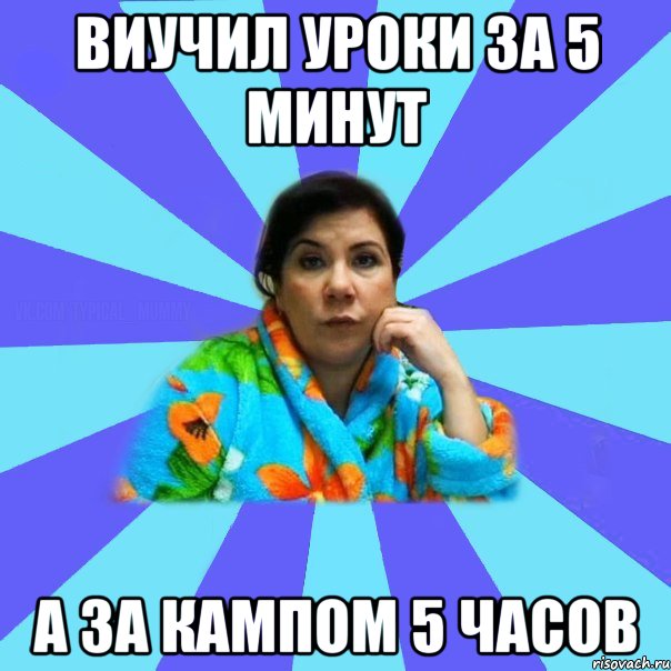 Виучил уроки за 5 минут А за кампом 5 часов, Мем типичная мама