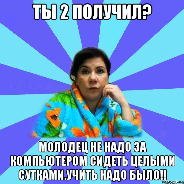 Ты 2 получил? Молодец не надо за компьютером сидеть целыми сутками.Учить надо было!!, Мем типичная мама