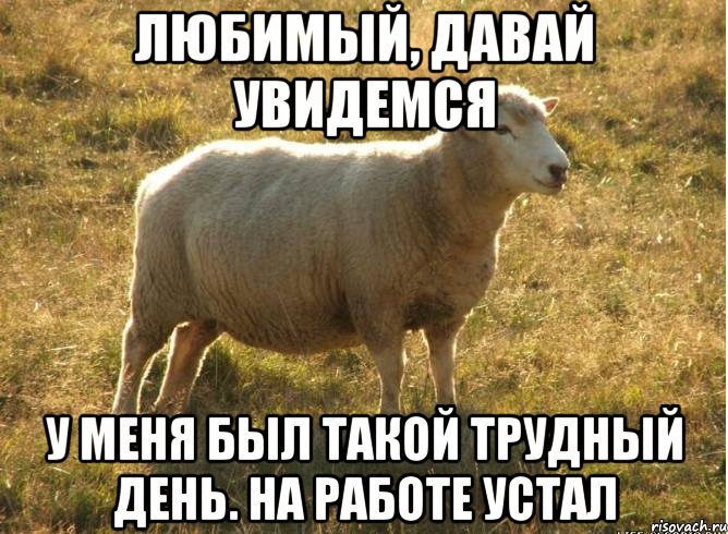 любимый, давай увидемся у меня был такой трудный день. На работе устал, Мем Типичная овца