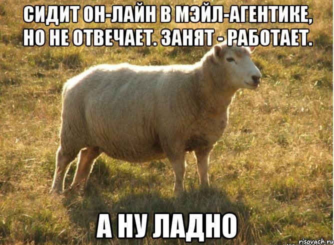 сидит он-лайн в мэйл-агентике, но не отвечает. Занят - работает. а ну ладно, Мем Типичная овца