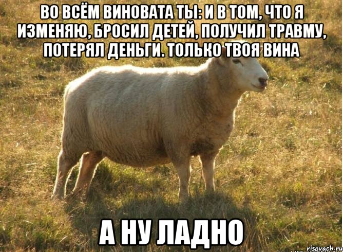 во всём виновата ты: и в том, что я изменяю, бросил детей, получил травму, потерял деньги. Только твоя вина а ну ладно, Мем Типичная овца